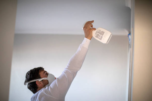 Trusted Cranford, NJ Mold Removal Experts