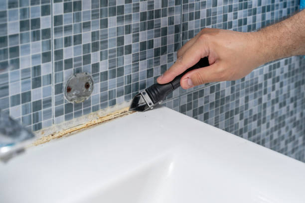 Best Black Mold Removal  in Cranford, NJ