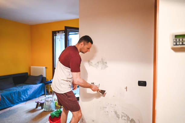 Crawl Space Mold Removal in Cranford, NJ