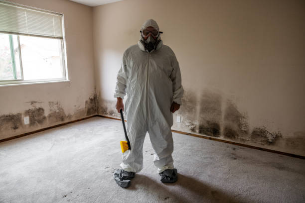 Best Office Mold Removal Services  in Cranford, NJ