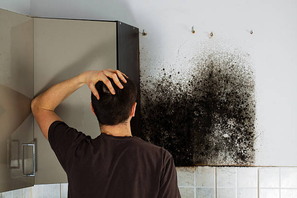 Best Black Mold Removal  in Cranford, NJ